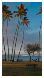 ハワイのビーチ