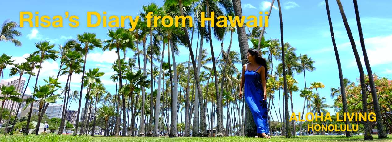Risa’s Diary from Hawaii